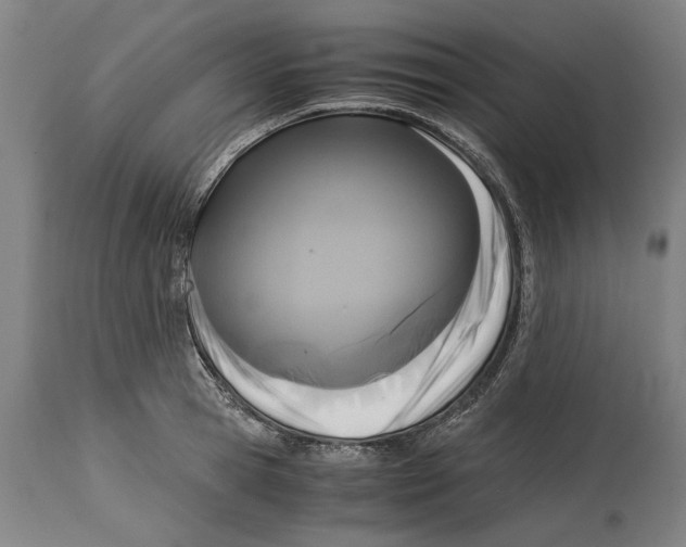 X0000114410945200911131425