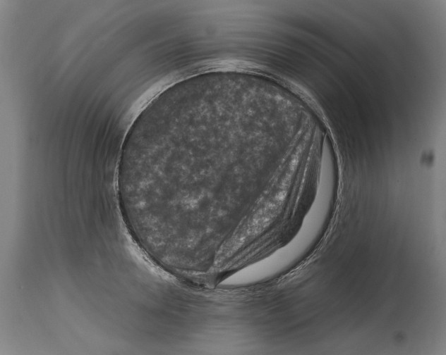 X0000114410946200911131425