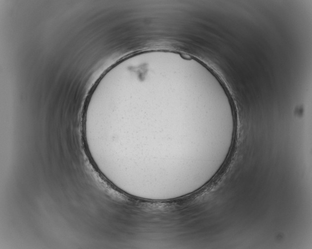 X0000114410949200911131425