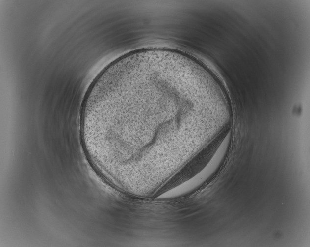 X0000114410951200911131425