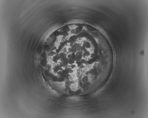 X0000114410953200911131425