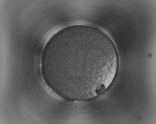 X0000114410954200911131425