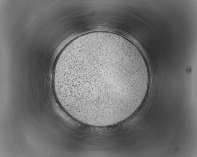 X0000114410955200911131425