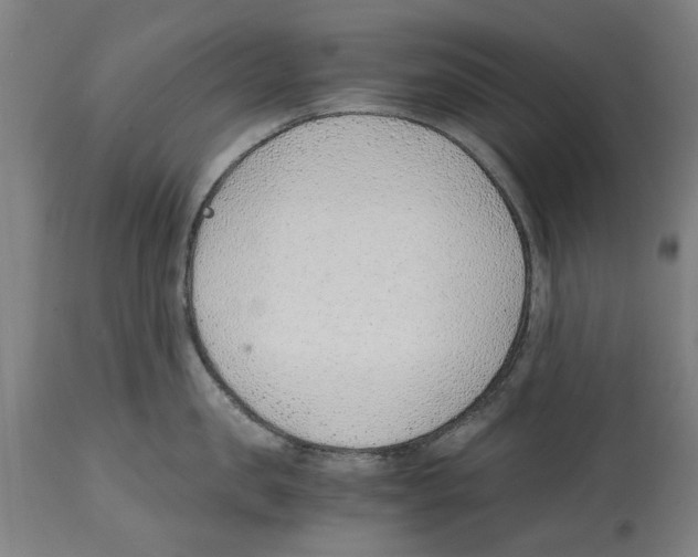 X0000114410957200911131425