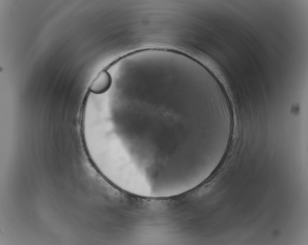 X0000114410958200911131425