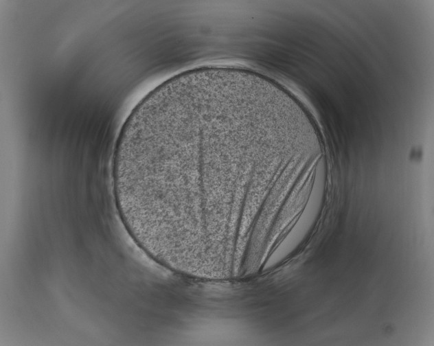 X0000114410959200911131425