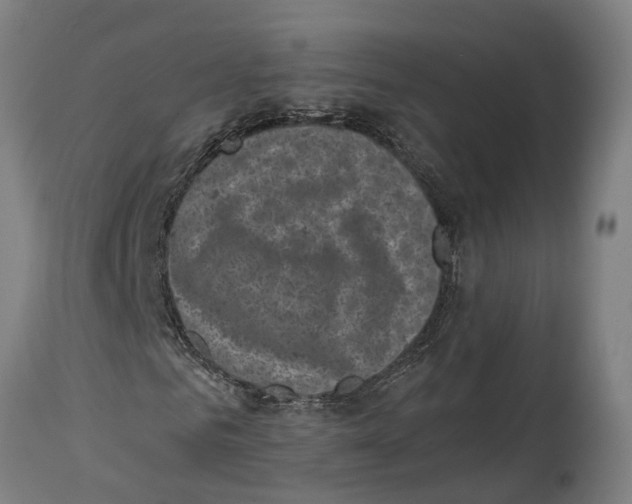 X0000114410961200911131424