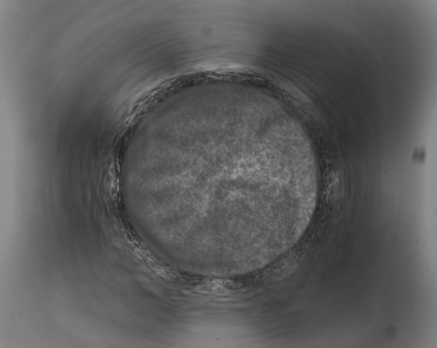 X0000114410966200911131424