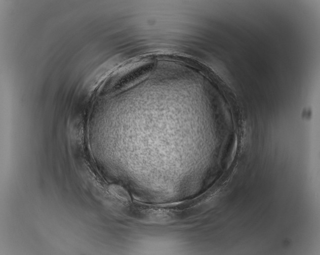 X0000114410969200911131424