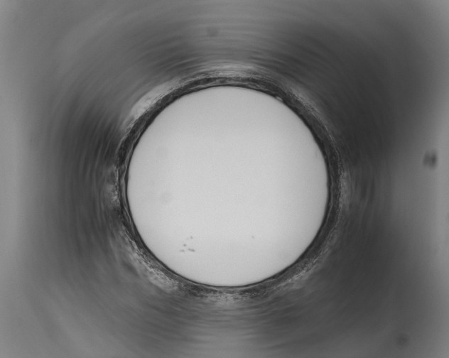 X0000114410970200911131424