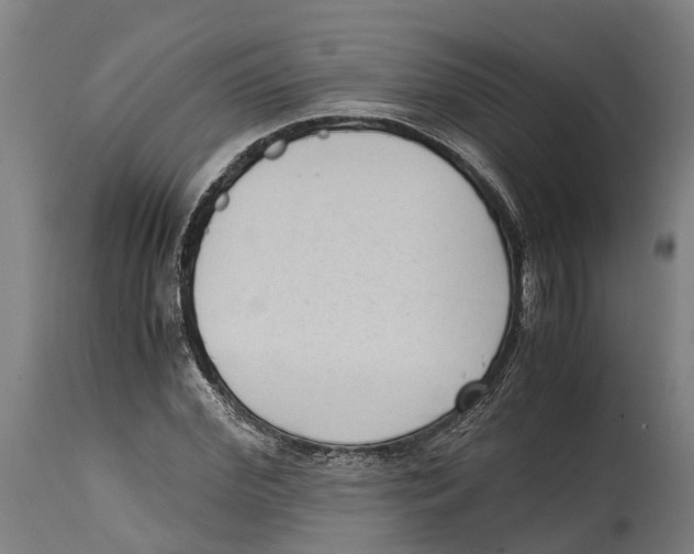 X0000114410972200911131424