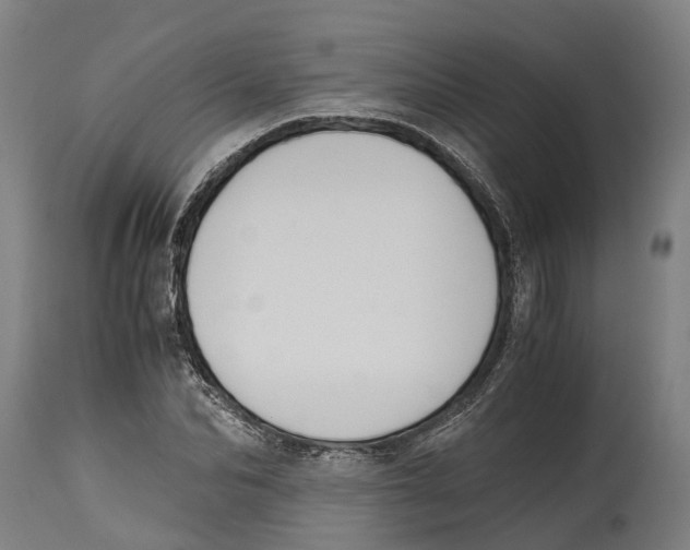 X0000114410974200911131424