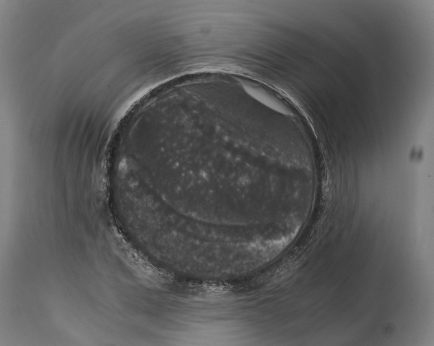 X0000114410975200911131424