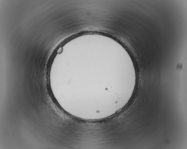 X0000114410976200911131424