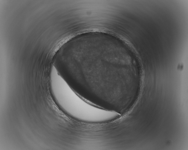 X0000114410977200911131424