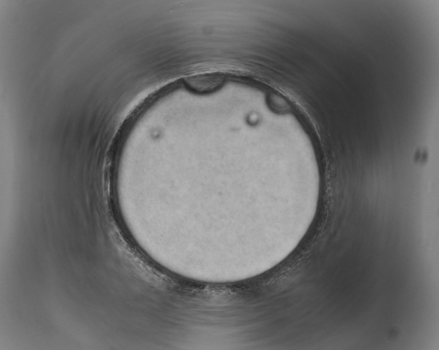 X0000114410983200911131424