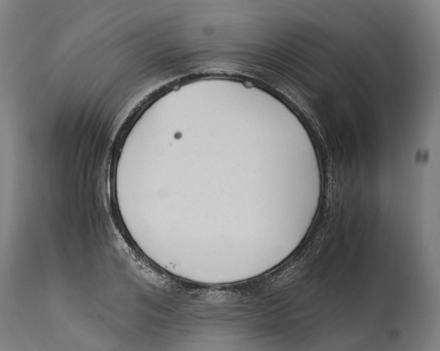 X0000114410984200911131424