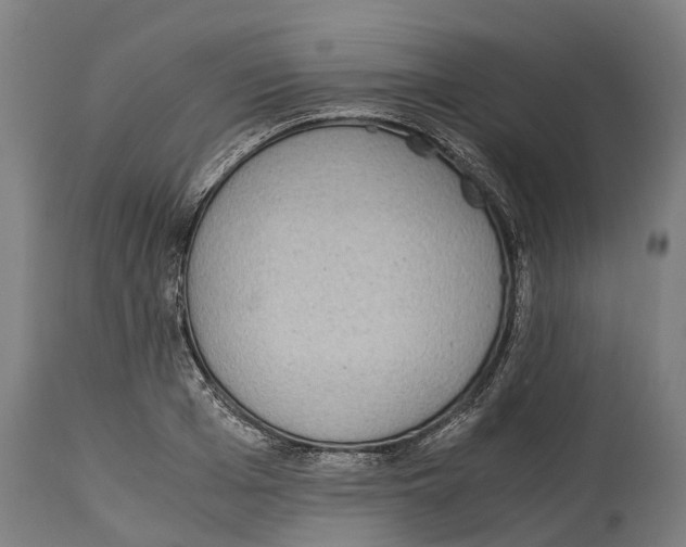 X0000114410985200911131424