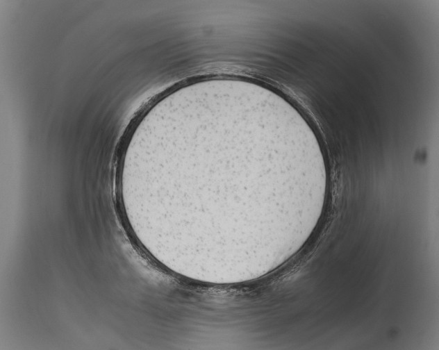 X0000114410987200911131424