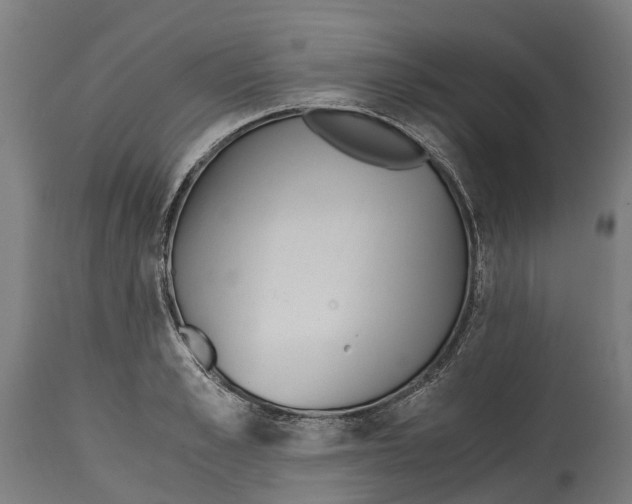 X0000114410989200911131424