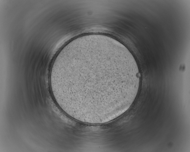 X0000114410990200911131424