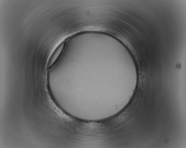 X0000114410992200911131424