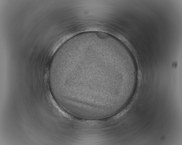 X0000114410993200911131424