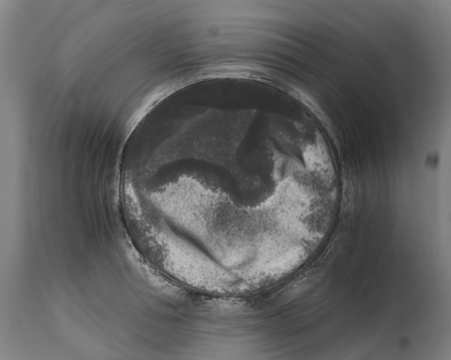 X0000114410994200911131424