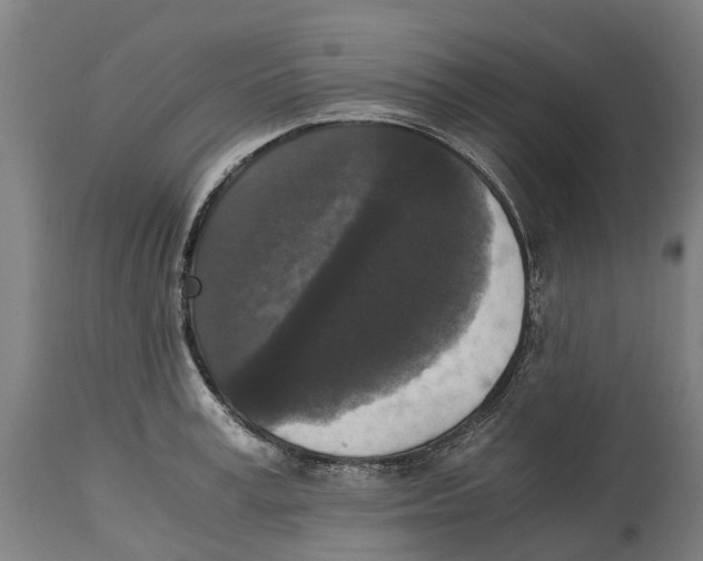 X0000114410995200911131424