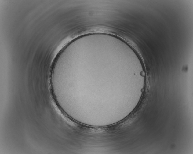 X0000114410997200911131424