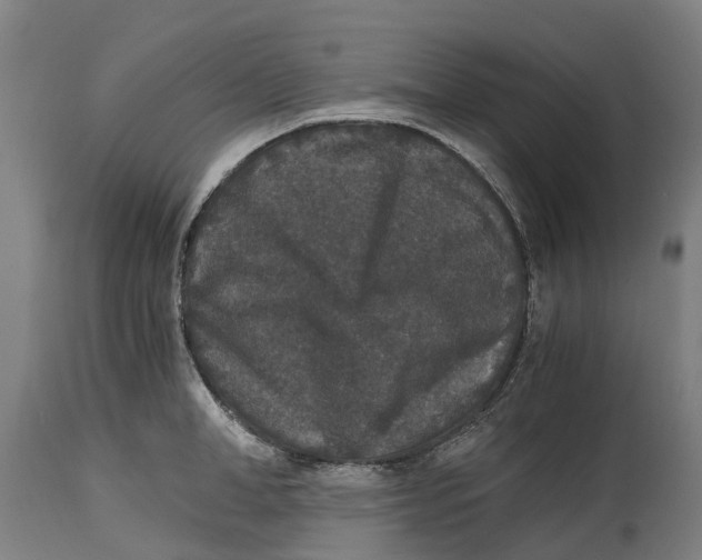 X0000114410998200911131424