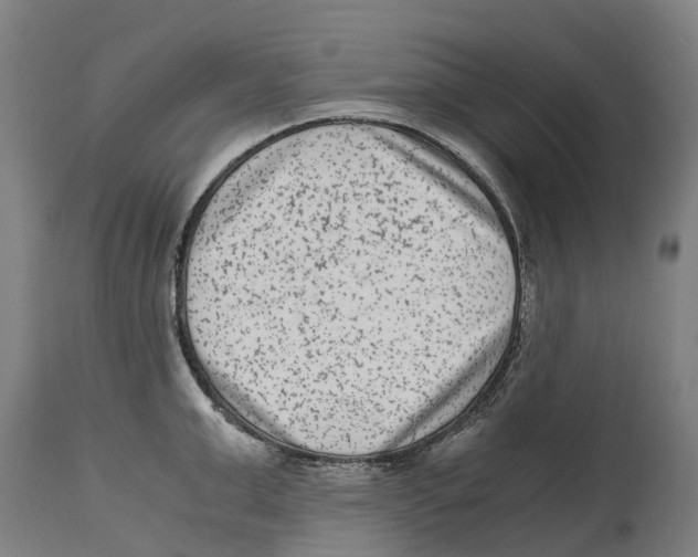 X0000114410999200911131424