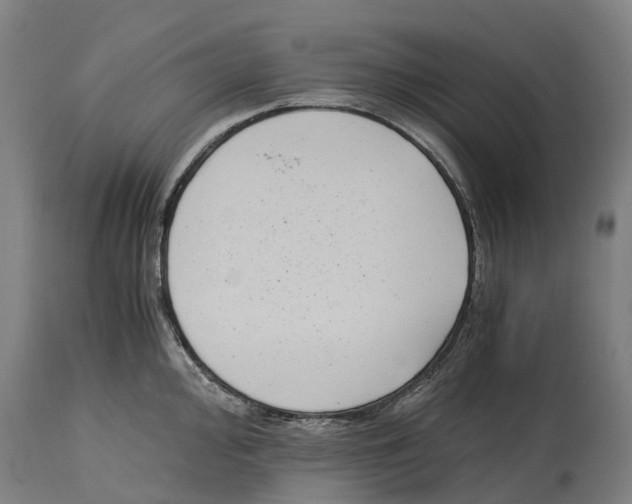 X0000114411000200911131424