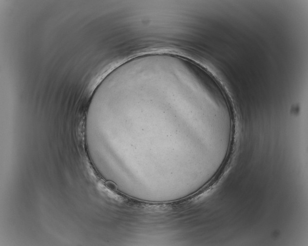 X0000114411001200911131424