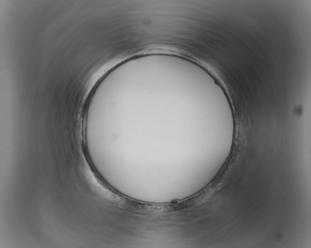 X0000114411003200911131424