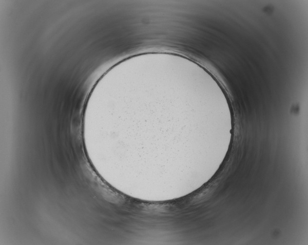 X0000114411004200911131424