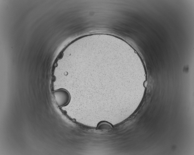 X0000114411005200911131424