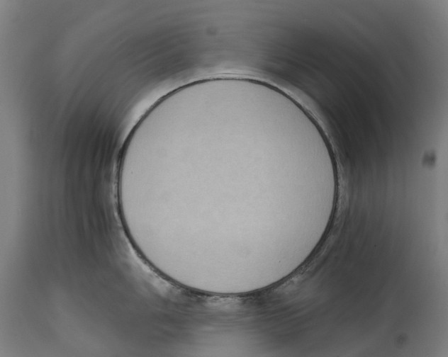 X0000114411006200911131424