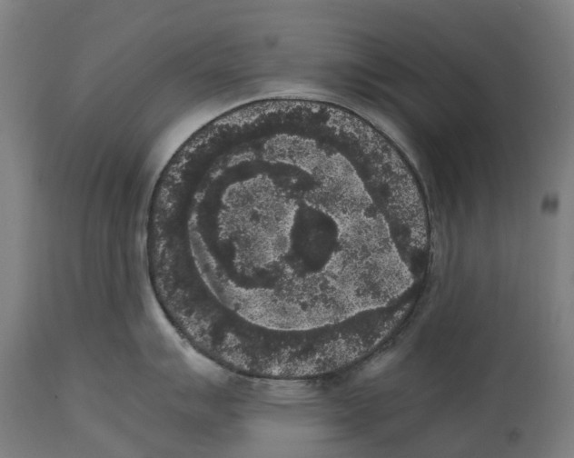 X0000114411007200911131424