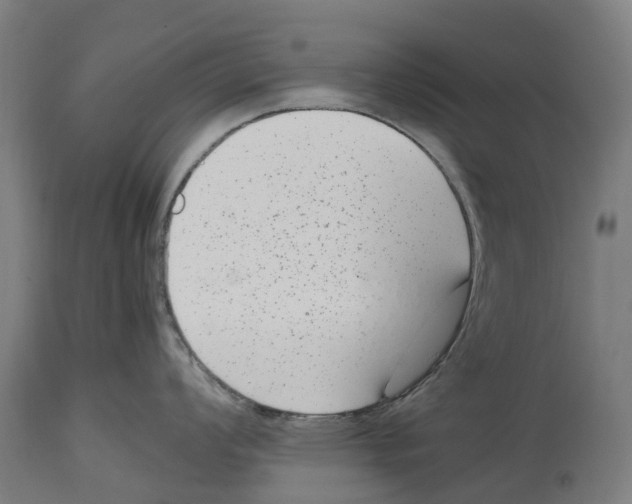 X0000114411008200911131424