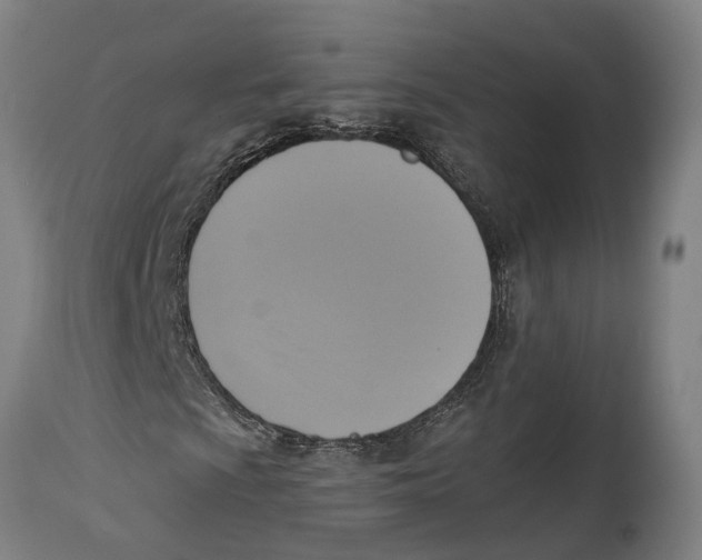 X0000114411009200911131423