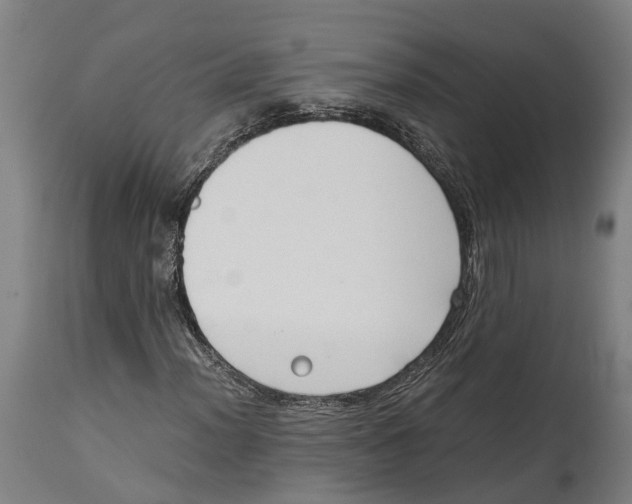 X0000114411012200911131423