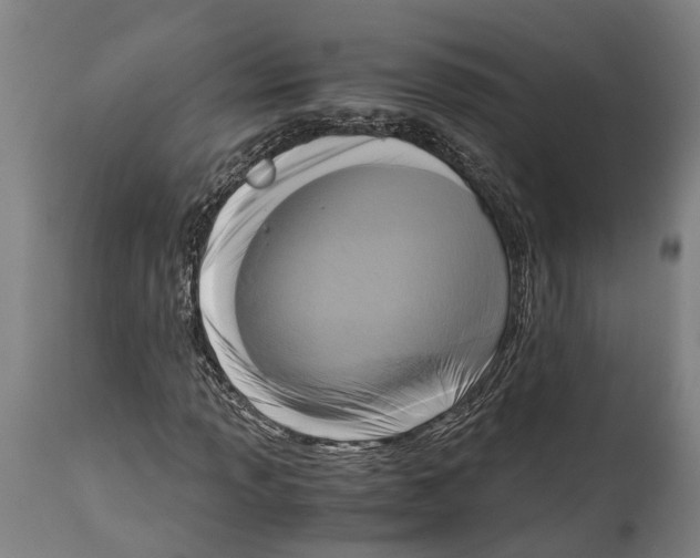 X0000114411013200911131423