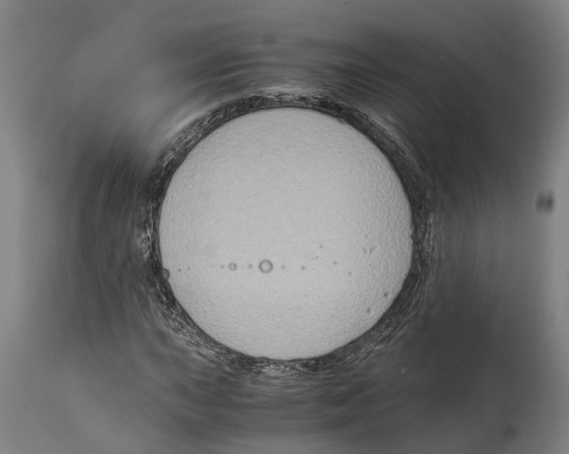 X0000114411015200911131423