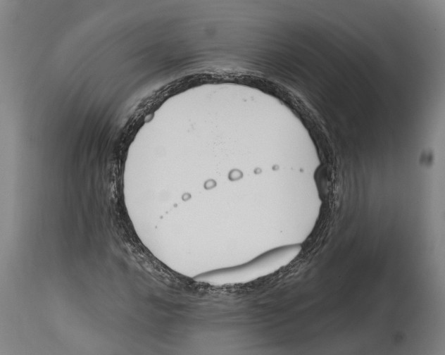 X0000114411016200911131423