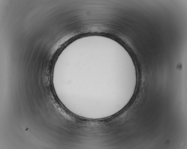 X0000114411018200911131423