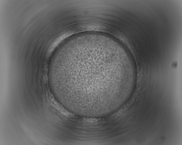 X0000114411019200911131423