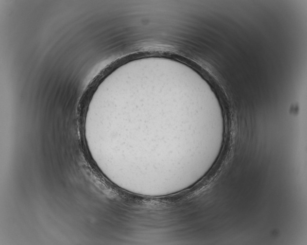 X0000114411022200911131423