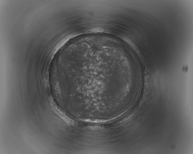 X0000114411023200911131423