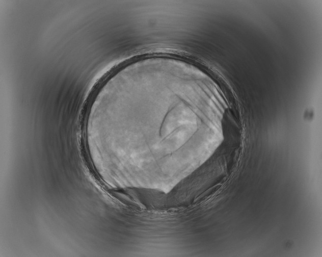 X0000114411024200911131423